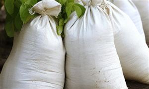 2024电竞行业发展分析与中国电竞市场未来(图5)