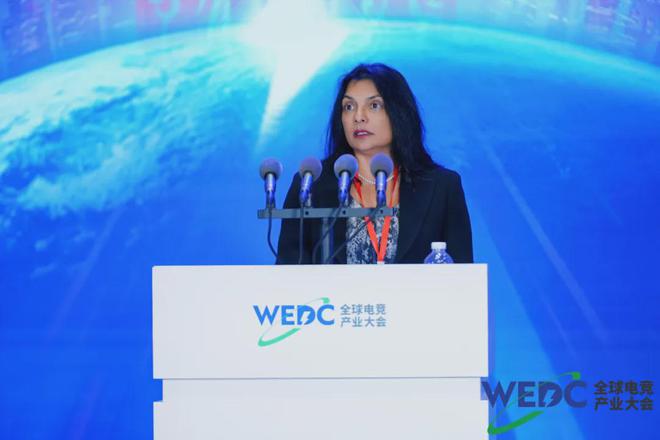 共线全球电竞产业大会“竞”蓉城(图12)