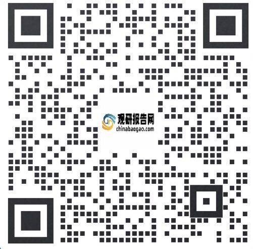 中国网络增值服务行业发展深度研究与投资前景预测报告（2024-2031年）(图6)
