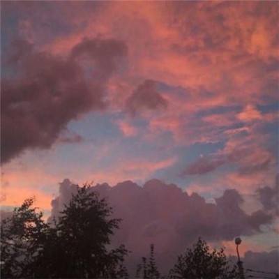 明天晚上一定出准确生肖特马(图2)