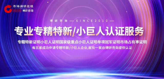 2024-2030年中国无线增值服务行业市场运营态势发展趋向研判报告(图1)