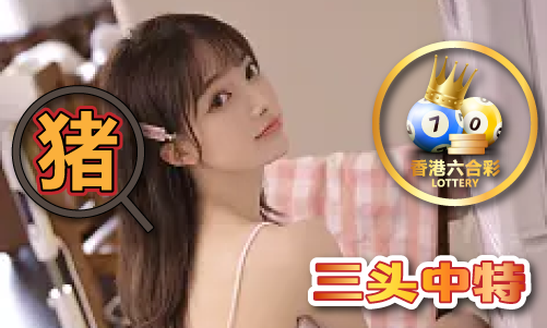 74249сm查询-74249сm查询安装版V9(图1)