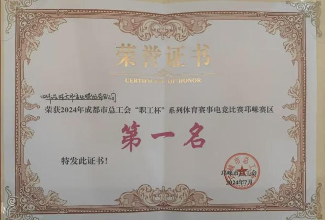 2024四川省电子竞技企业联赛巡礼之四川浩旺集团(图1)