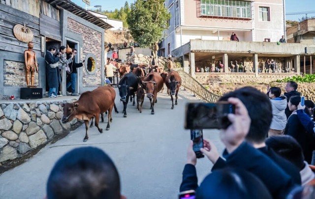 在世界遗产地办艺术嘉年华美丽乡村带动“美丽经济”(图4)