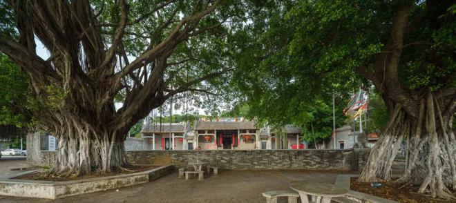 汇聚“共栖之岛”第二届“永续之籽”教育计划面向全国高校创作者发起公开招募(图5)