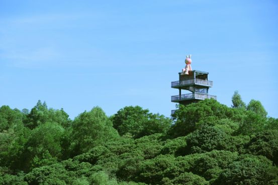 深圳龙岗：以大运之名赴青春之约(图10)